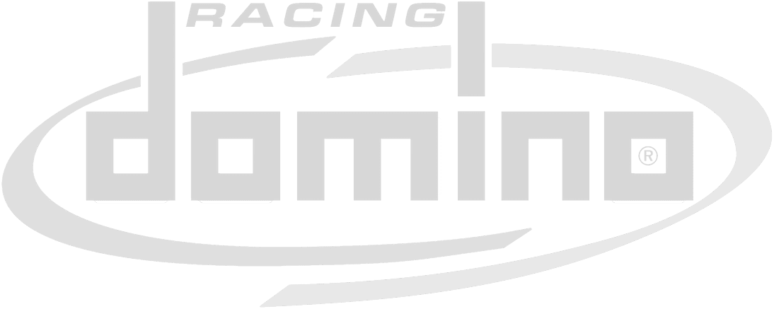 Domino Racing